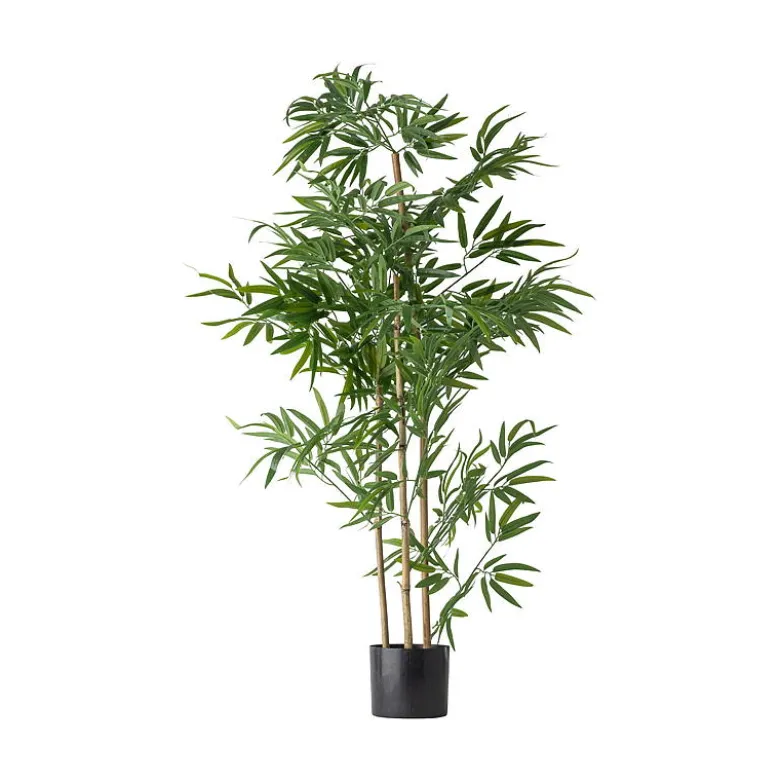 Bambustre
