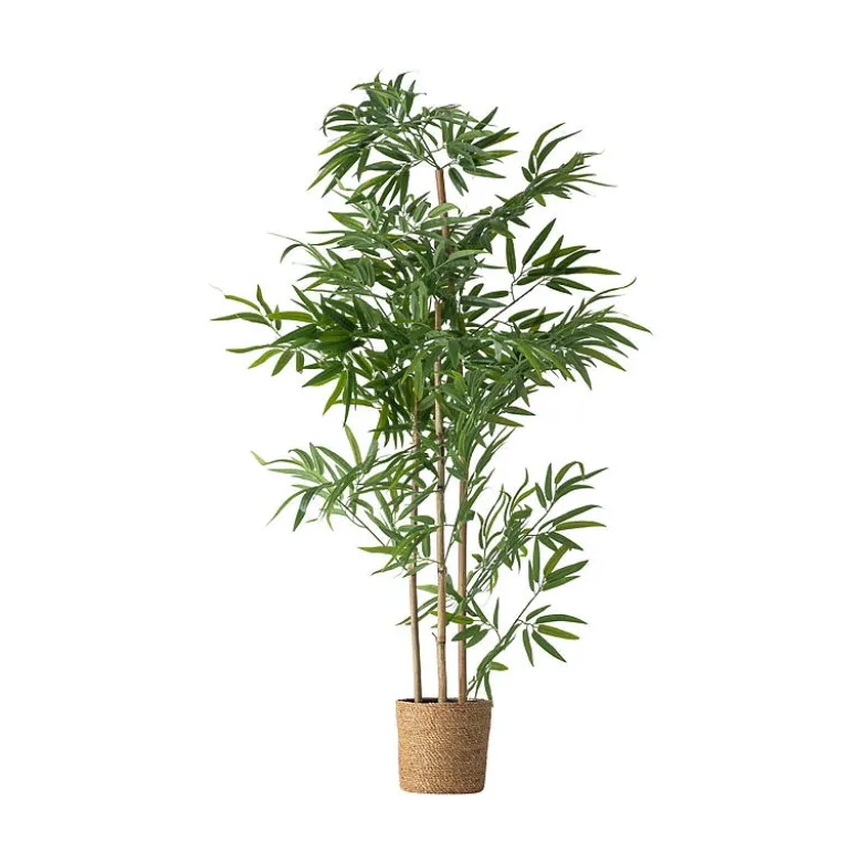 Bambustre