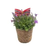 Campanula i kurv