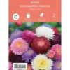 Frø asters