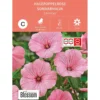 Frø hagepoppelrose