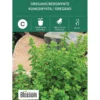 Frø oregano/bergmynte