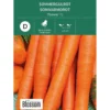 Frø sommergulrot