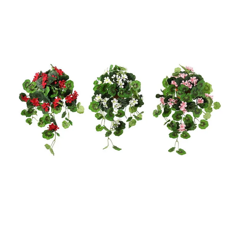 Hengepelargonia