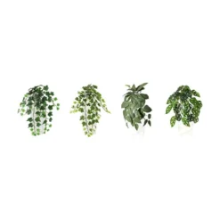 Hengeplante