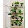 Hengeplante
