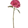 Hortensia