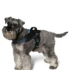 Hundesele