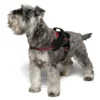 Hundesele