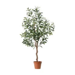 Oliventre