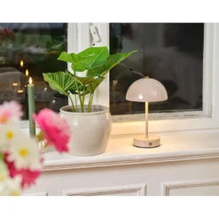 Philodendron
