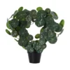 Plante