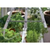 Plantelys 60 cm