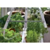 Plantelys 60 cm