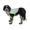 Refleksvest hund