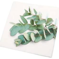 Servietter 20-pk
