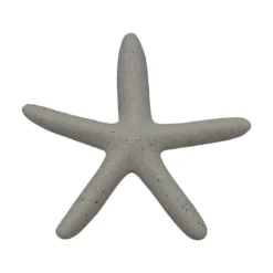 Sjøstjerne