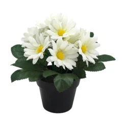 Småblomster