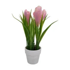 Småblomster