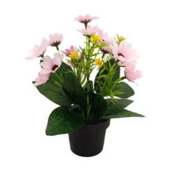 Småblomster