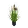 Stråplante
