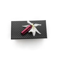 Vibrator mini